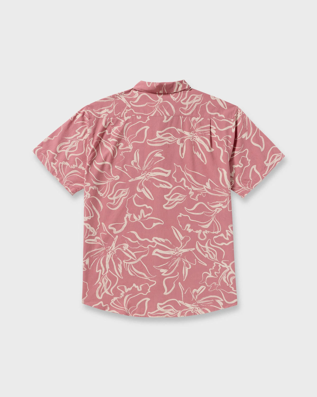 Faded Rose