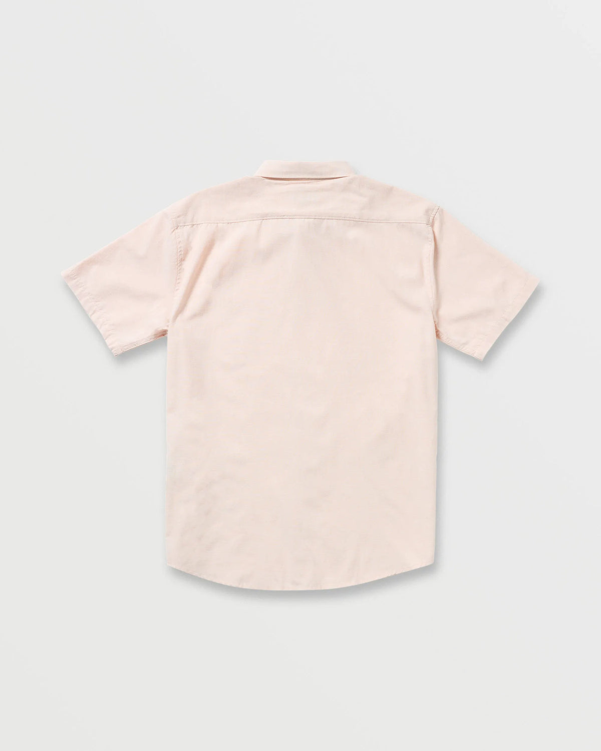 Coral Haze