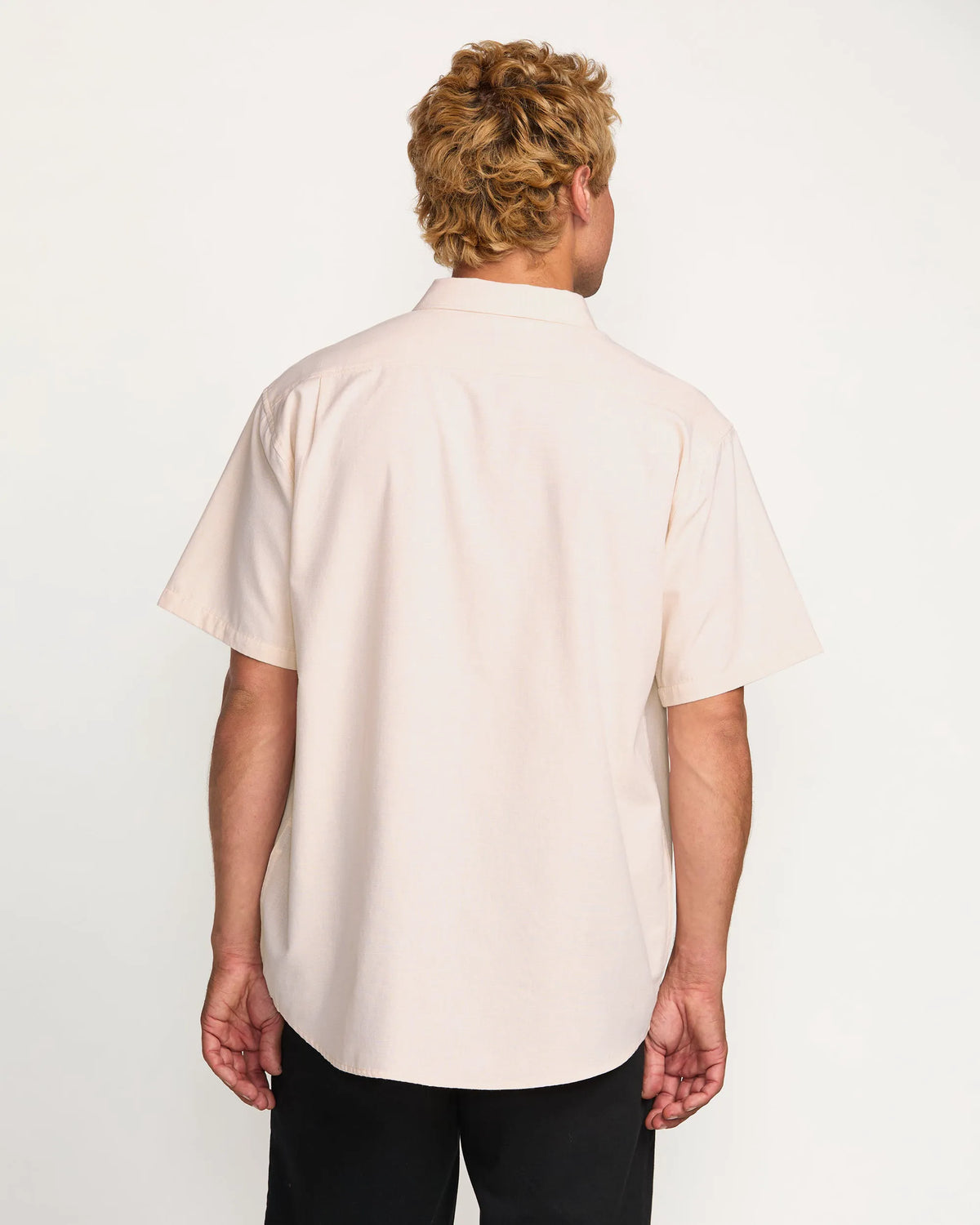 Coral Haze