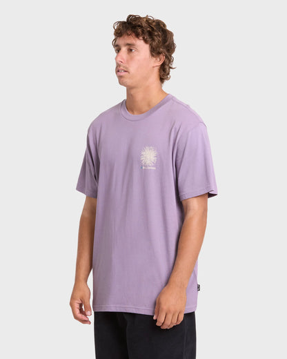 PURPLE ASH